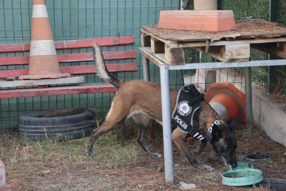 Konya’daki hassas burunların oyunu zehir tacirlerini yakıyor 3